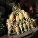 Ovoce a zelenina: <i>Ananas comosum</i> (ananas chocholatý) <i>Bromeliaceae</i>