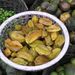 Ovoce a zelenina: <i>Averrhoa carambola</i> (karambola) <i>Oxalidaceae</i>1
