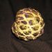 Ovoce a zelenina: <i>Annona squamosa</i> (anona šupinatá) <i>Annonaceae</i>