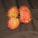 Ovoce a zelenina: <i>Nephelium lappaceum</i> (rambutan) <i>Sapindaceae</i>1