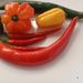 Ovoce a zelenina: <i>Capsicum annuum</i> (paprika roční) <i>Solanaceae</i>