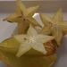 Ovoce a zelenina: <i>Averrhoa carambola</i> (karambola) <i>Oxalidaceae</i>6
