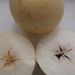 Ovoce a zelenina: <i>Pyrus pyrifolia</i> (hruška hruškolistá ) <i>Malaceae</i>