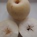 Ovoce a zelenina: <i>Pyrus pyrifolia</i> (hruška hruškolistá ) <i>Malaceae</i>1
