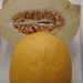 Ovoce a zelenina: <i>Cucumis melo</i> (meloun cukrový) <i>Cucurbitaceae</i>