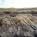 Stratigrafie: Diskordance