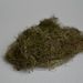 Bryoria fuscescens – vousatec hnědavý