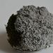 Stereocaulon vesuvianum – pevnokmínek vesuvský