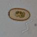 Trachelomonas cf. pulcherrima PLAYFAIR