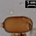 Trachelomonas cf. cylindrica EHRENBERG