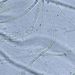 Phormidium autumnale (AGARDH) TREVISAN EX GOMONT 2