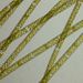 Spirogyra sp.  LINK 3