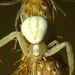 Misumena vatia (Clerck, 1757) 